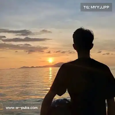 舒舜飚